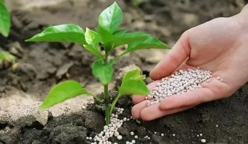 磷肥用消泡劑應(yīng)用場景圖