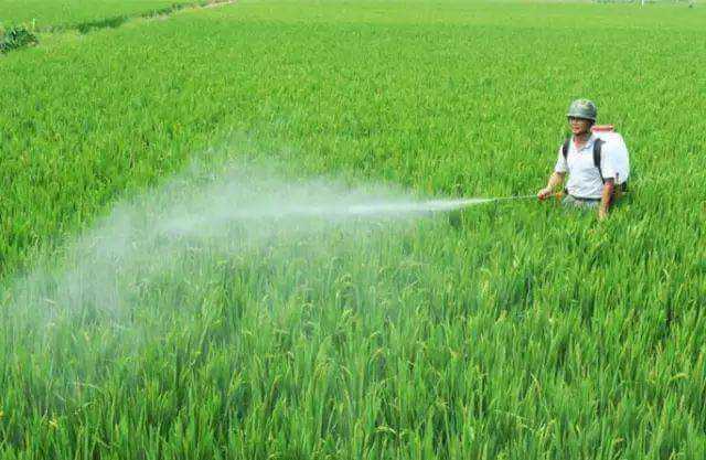 農(nóng)藥乳化劑用農(nóng)藥乳化劑起泡原因分析，泡沫過多怎么解決？泡劑